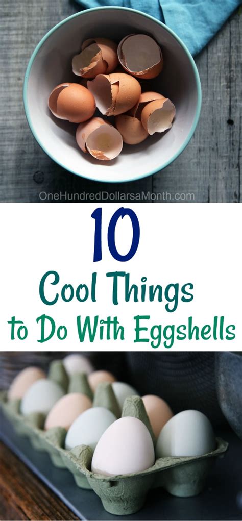 Once frozen take out and place into a plastic freezer bag, to use them you take as many eggs as called for in the recipe and defrost them over night in the fridge. 10 Cool Things to Do With Eggshells - One Hundred Dollars ...