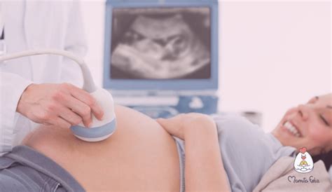 Listado De Cuidados Durante El Embarazo Mamita Feliz