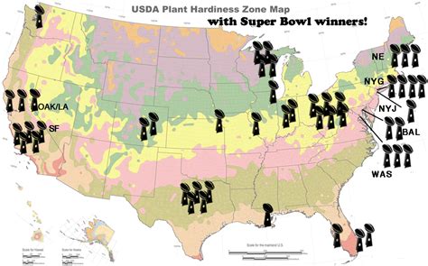 What Nfl Teams Have Never Won The Superbowl