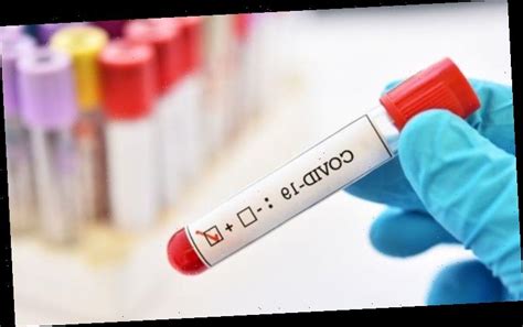 Coronavirus test: What is the difference between an antigen test and an antibody test ...