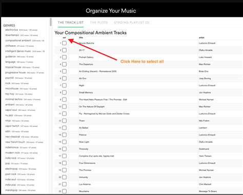 How To Organize Your Spotify Music By Genre David Porkka
