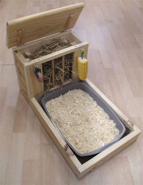 What more could a bunny ask. Hay feeder, Hay and Rabbit on Pinterest
