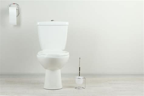 Funny Toilet Backgrounds For Zoom Meeting