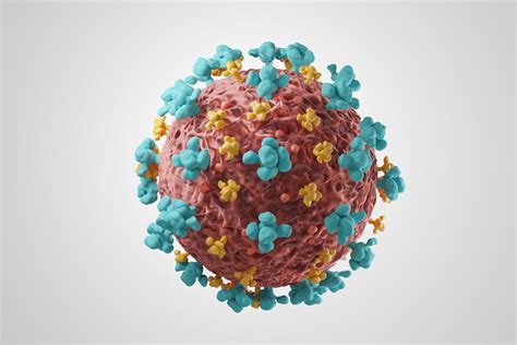 Human Coronavirus Oc Nucleoprotein The Native Antigen Company
