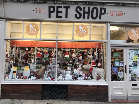 Its Beginning To Look A Lot Like Christmas At The Pet Shop Pet