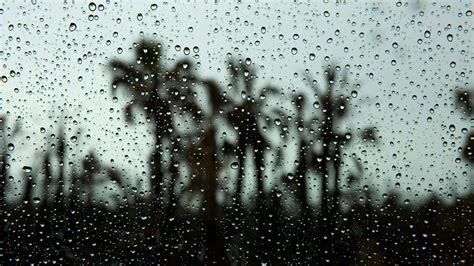 Rainy Season Southwest Florida Will See More Rain As Rainy Season Begins