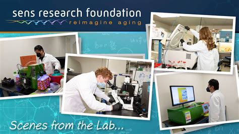 Scenes From The Lab Sens Research Foundation