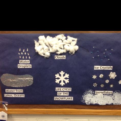 Life Cycle Of A Snowflake Booklet
