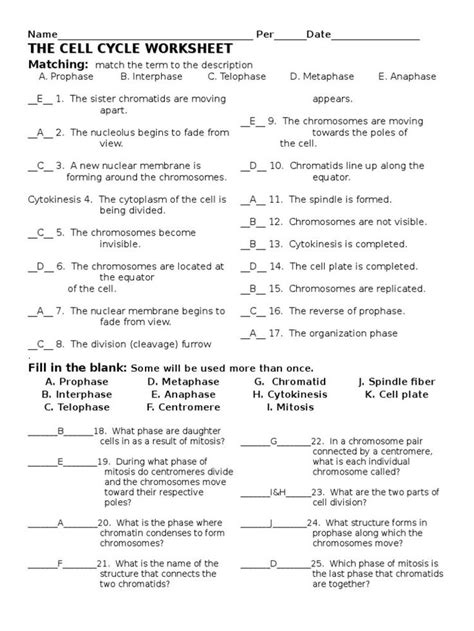 Meiosis Matching Worksheet Answer Key Worksheet For Education Cell