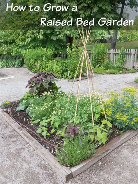 Frugal Gardening Tips For Beginners