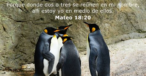 Mateo 1820 Versículo De La Biblia