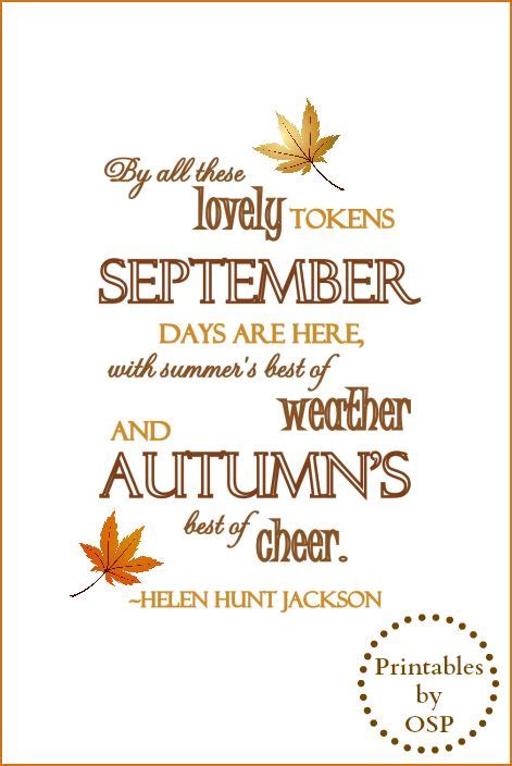 Fall Quotes For Signs Quotesgram