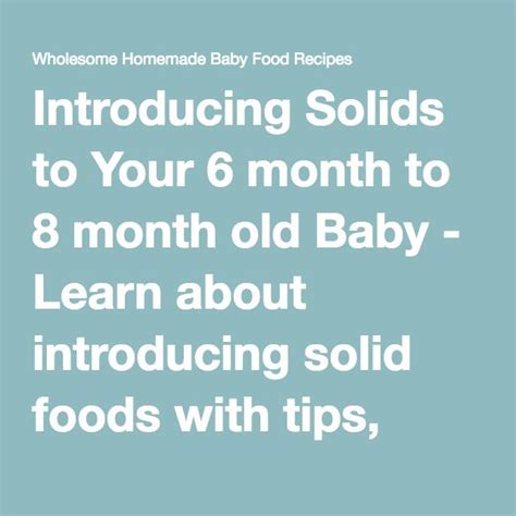 What foods should 8 month old eat? Introducing Solids to Your 6 month to 8 month old Baby ...