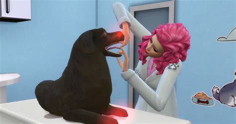 I usually let my sims have their imaginary friends but once they become teenagers the imaginary friends get in the way. Learn to Build and Run a Vet Clinic - Sims Online
