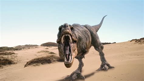 Jurassic Park T Rex Wallpaper 73 Images