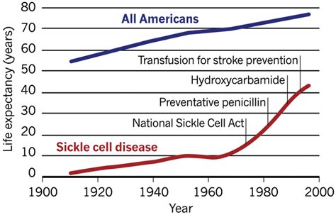 Sickle Cell Disease In The Older Adult Pathology