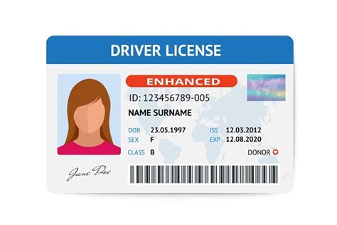 Flat Woman Driver License Plastic Card Template Id Card Vector