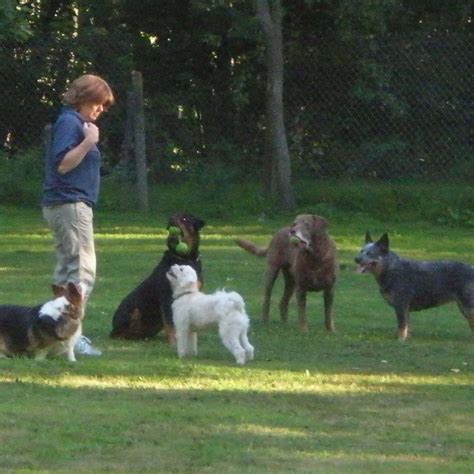 Shivery Creek Canine | Sandy Creek NY