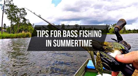 14 Actionable Bass Fishing Tips In Summertime