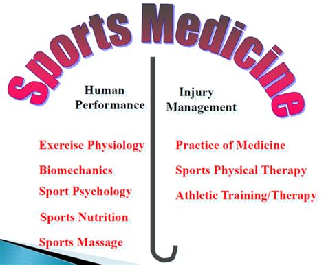 Sports Medicine Careers That Pay Well Mitsue Pineda