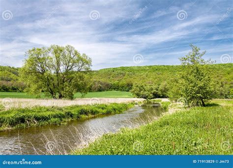 Spring Landscape With Green Meadow River And Trees Stock Image Image