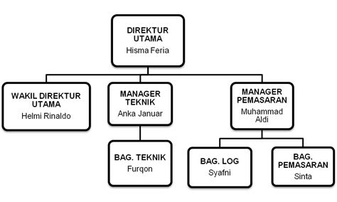 struktur organisasi cv kecil