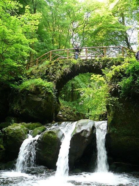 Boek goedkope vluchten naar mullerthal: Mullerthal,Luxemburg | LUXEMBOURG /// | Pinterest