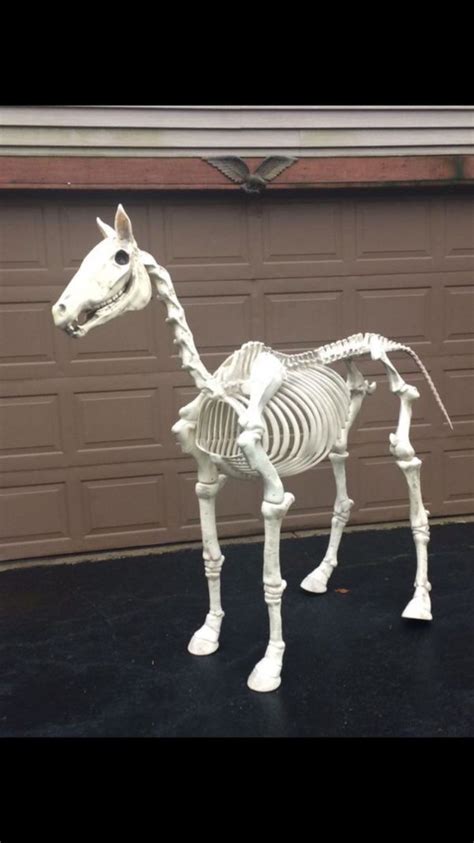 Decorate Your Yard With This Horse Skeleton Halloween Decoration Diy