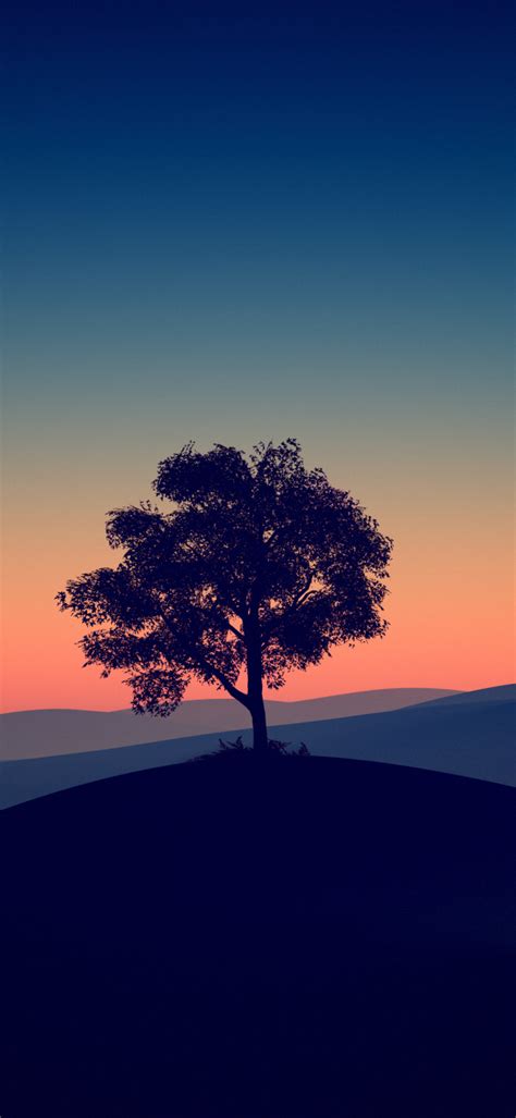 720x1560 Tree Alone Dark Evening 4k 720x1560 Resolution Wallpaper Hd