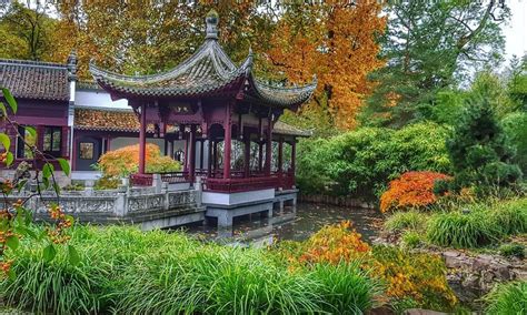 Reopened Chinese Garden With The Reconstructed Beautiful Wooden Chinese