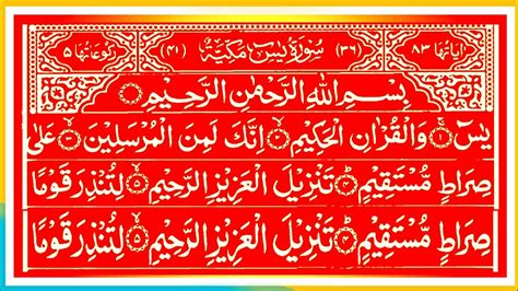 Surah Yaseen Yasin Shareef Tilawat Quran Full With Arabic Text