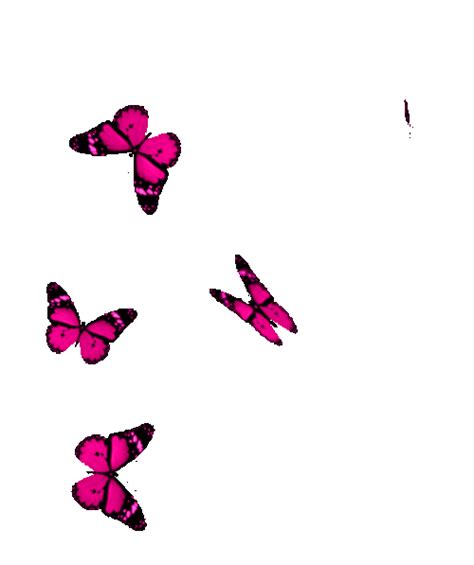 Top 134 Butterfly Animated 