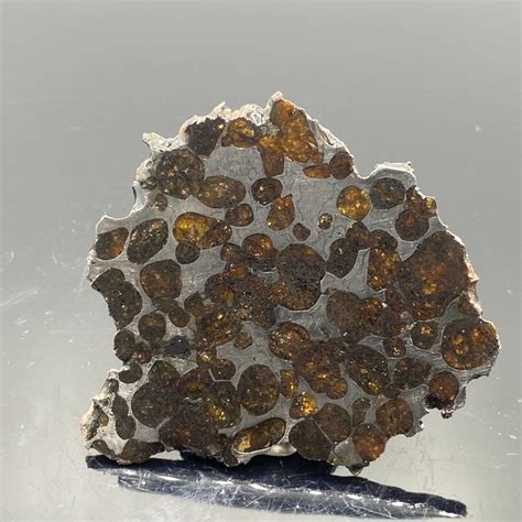 Sericho Meteorite Polished Slice 333 G Catawiki