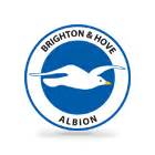 Poprvé od přelomu osmdesátých a devadesátých let obléknou její hráči rudé trikoty s třemi pruhy na ramenou. Brighton Hove Albion FC
