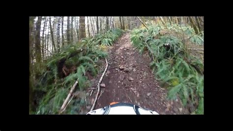 Ride and drive responsibly and enjoy your visit to the tillamook state fore. Diamond Mill OHV Area in the Tillamook Oregon State Forest ...