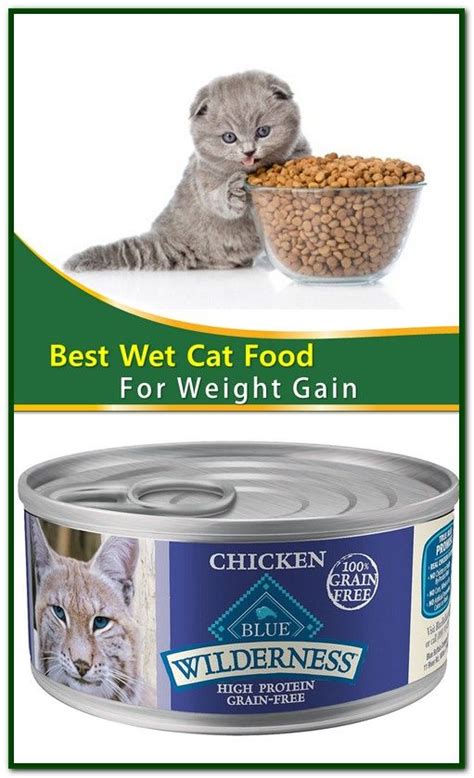 When looking for a wet cat food for weight loss, you will want cat food that is well balanced in a manner in which it reduces weight while encouraging the development of lean muscles. Pin on CAT FOOD