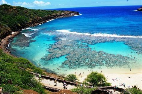Snorkeling And Beach Fun Hanauma Bay Nature Preserve Honolulu