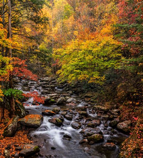 Sold Out Great Smoky Mountains Autumn 2019 Jack