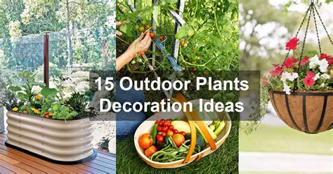 15 Outdoor Plants Decoration Ideas