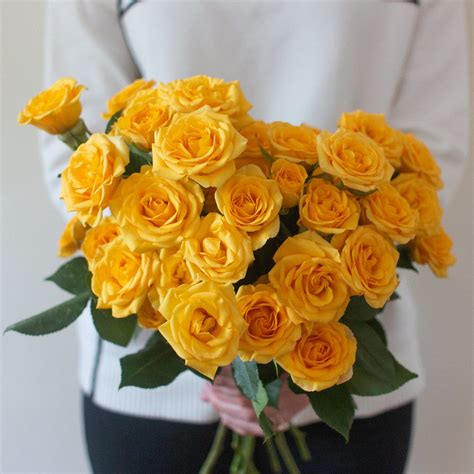 Yellow Spray Rose Flower Diy Wedding Flowers Flower Moxie