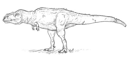 Color The Giganotosaurus Dinosaur Coloring Pages Dinosaur Coloring My XXX Hot Girl