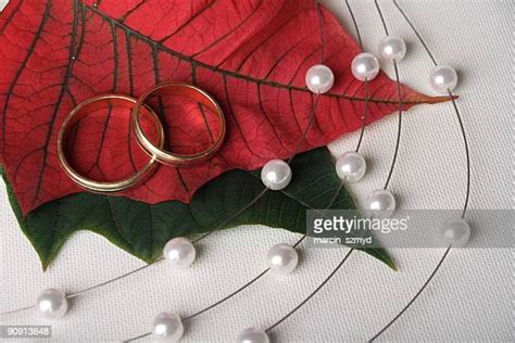 60点の結婚記念日の画像／写真／イメージ getty images