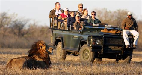 Savanna Game Lodge In Sabi Sands Game Reserve Kruger National Park South Africa Luxury Safari