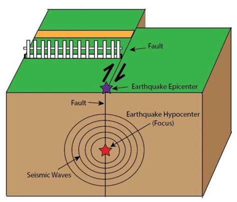 Understanding The Anatomy Of An Earthquake Label This Informative Diagram