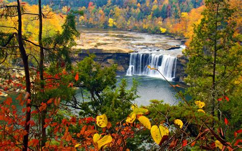 Autumn Waterfall Hd Wallpaper Background Image
