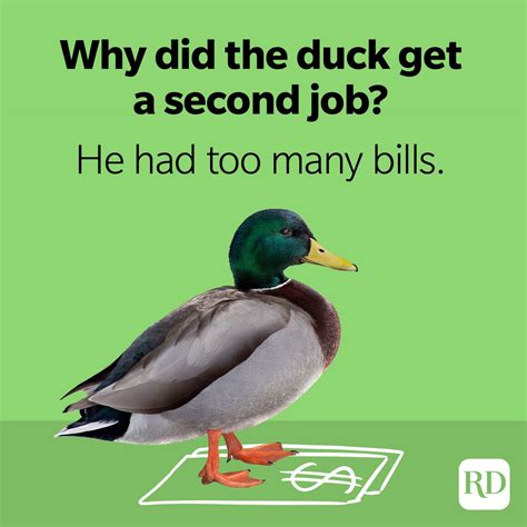 Hilarious Duck Jokes That Fit The Bill Duck Puns