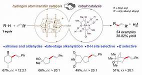 Late-stage functionalisation of carbon-hydrogen bonds - NUS Faculty of ...