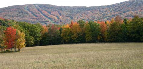 Day spa · health spa. Fall Foliage in Windham/NY: Known for its superb skiing ...
