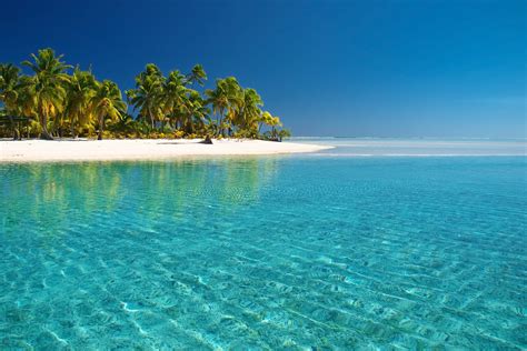 Coconut Trees On Island Beach Sea Palm Trees Landscape Hd Wallpaper