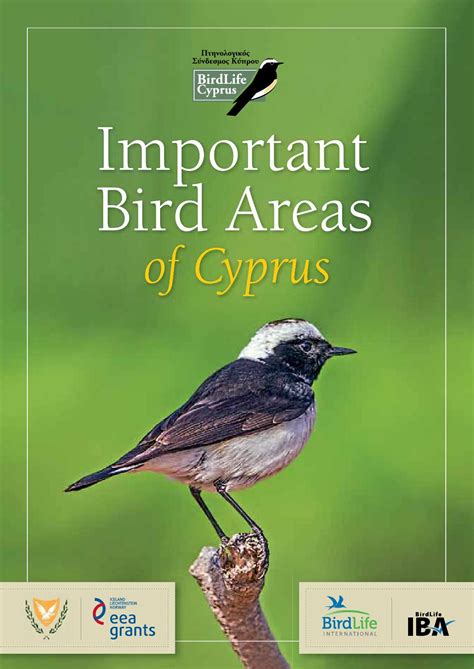 Important Bird Areas Of Cyprus By Birdlife Cyprus By Birdlife Cyprus